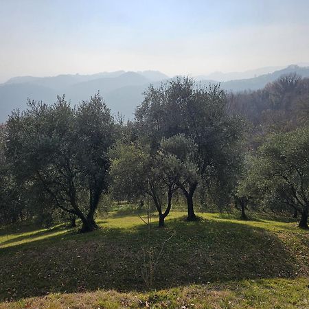 B&B Ca'Baracca Bellavista Bassano del Grappa Luaran gambar