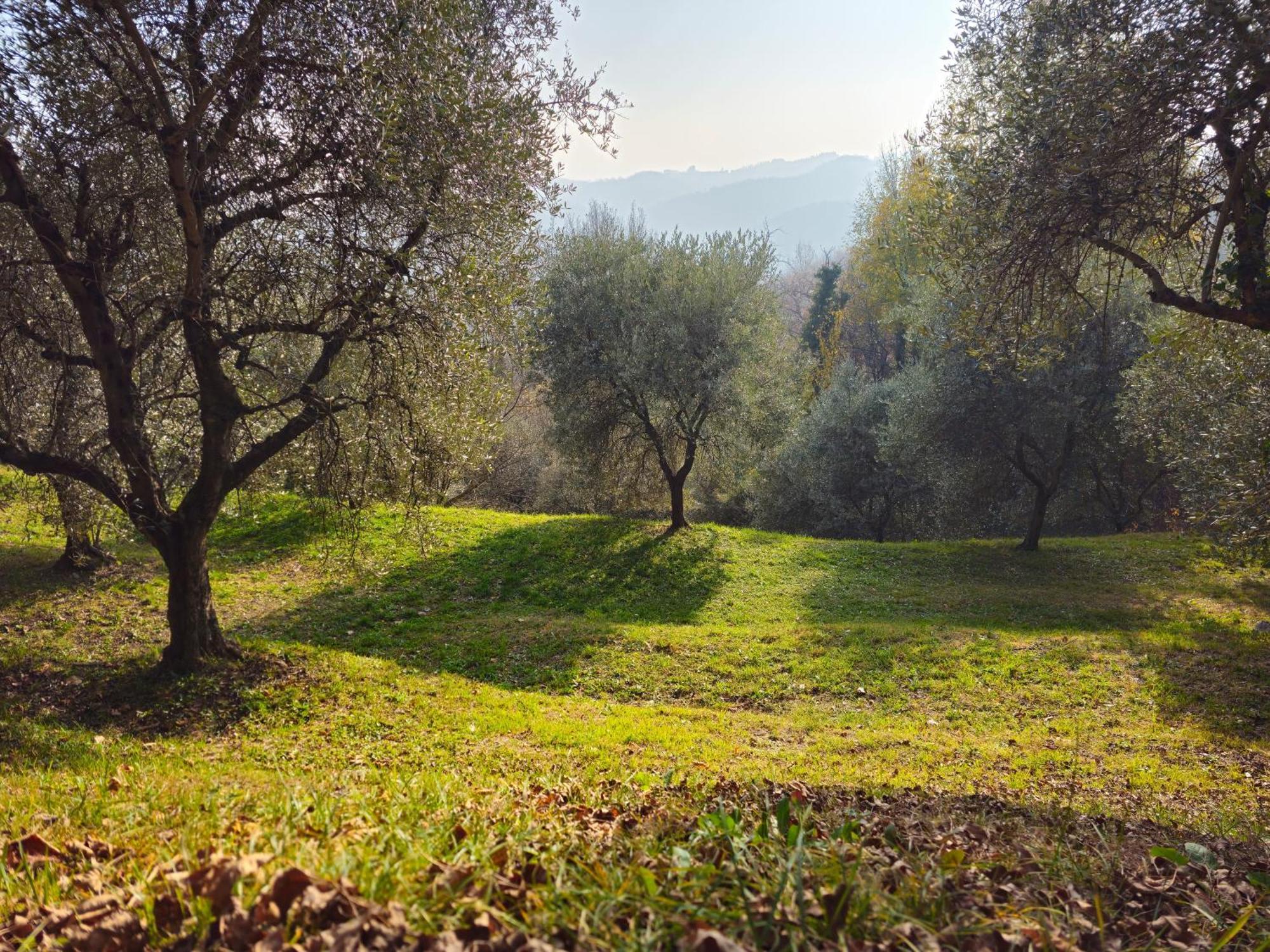 B&B Ca'Baracca Bellavista Bassano del Grappa Luaran gambar