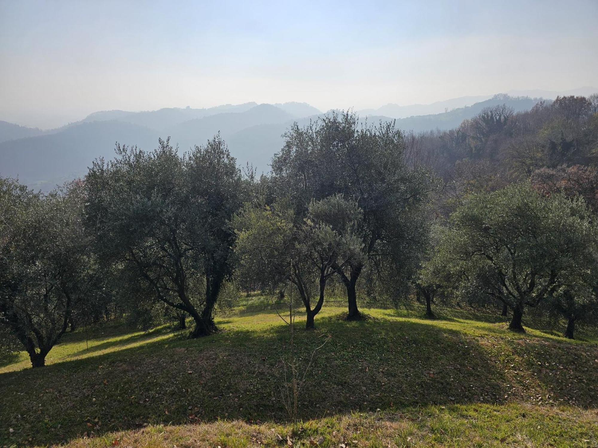 B&B Ca'Baracca Bellavista Bassano del Grappa Luaran gambar
